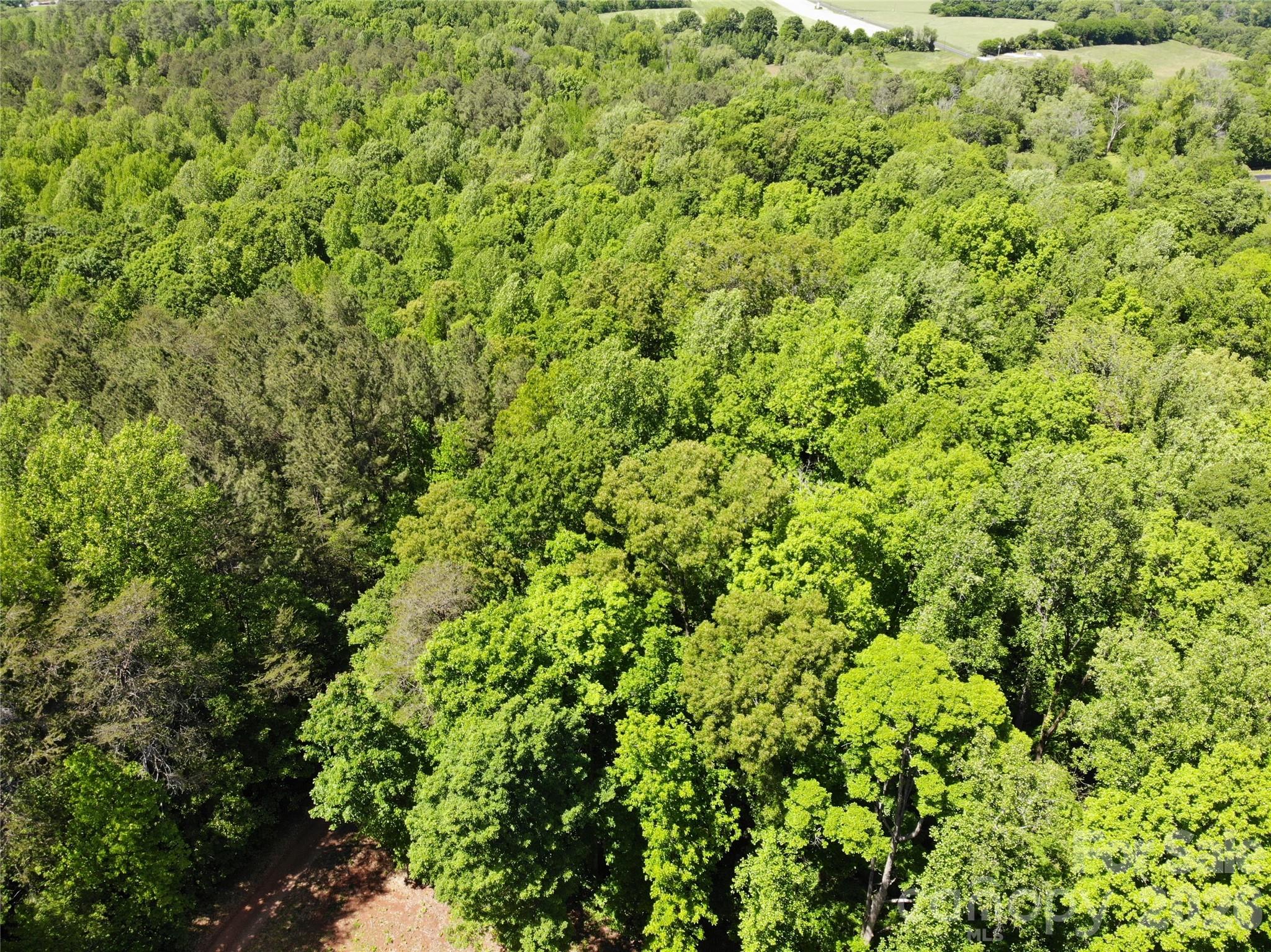 Land in Lincolnton 4