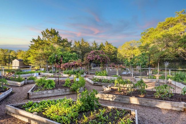 Beautiful, raised garden beds with Peggy Martin climbing roses arched over the walkway into the rear garden. | Image 29