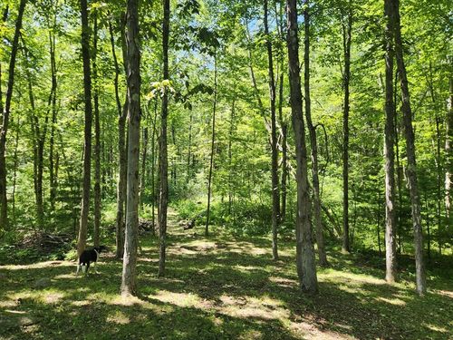 7 Delargy Rd, Hardwick, MA, 01037-9784 | Card Image