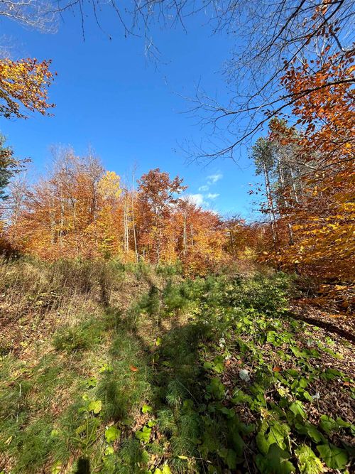 1843 Downer Rd, Sharon, VT, 05065 | Card Image