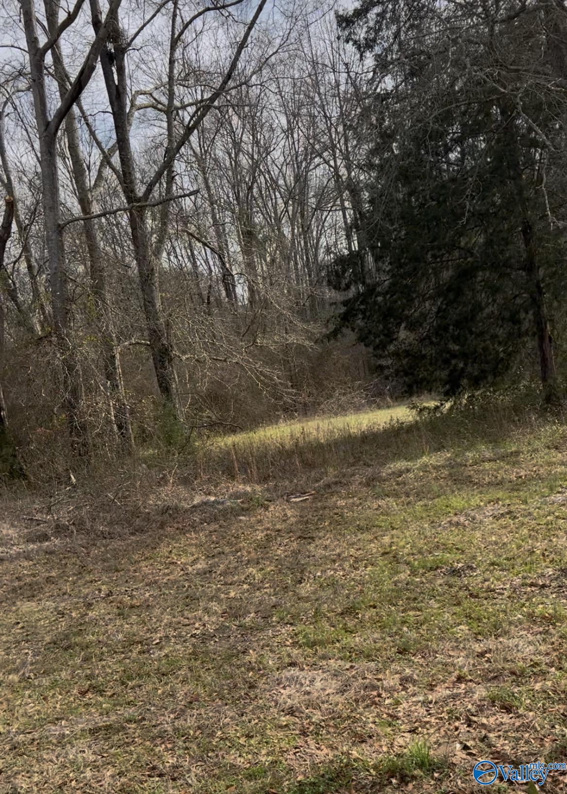 Land in Marion 4