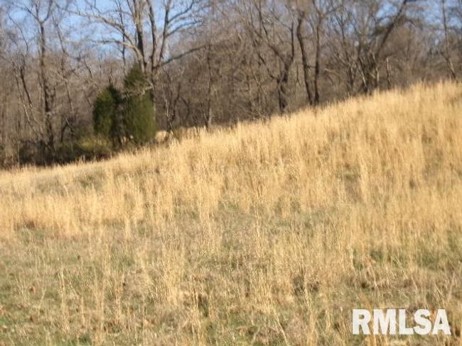 2225 Route 34, House other with 4 bedrooms, 2 bathrooms and null parking in Rosiclare IL | Image 64