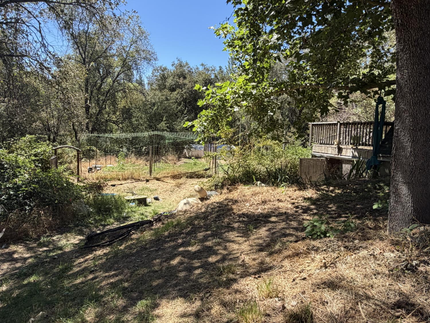 Residential in Nevada City 5