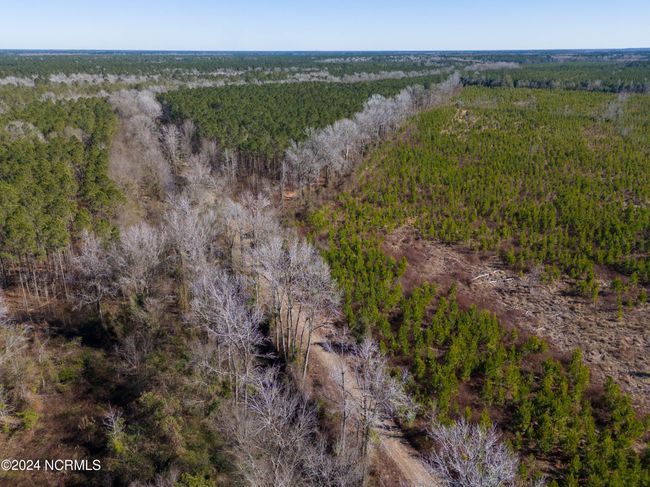 00 Sykes Town Rd, Home with 0 bedrooms, 0 bathrooms and null parking in Currie NC | Image 6