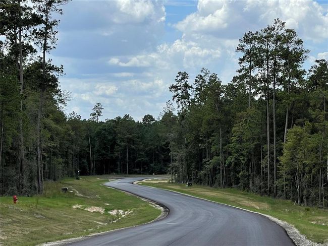 15357 Forest Grove Dr, Home with 0 bedrooms, 0 bathrooms and null parking in Willis TX | Image 6