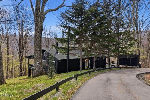 195 Log Cabin Lane, Roan Mountain, TN, 37687 | Card Image