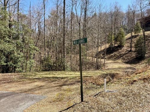 Lot 3 Wild Laurel, Brasstown, NC, 28902 | Card Image