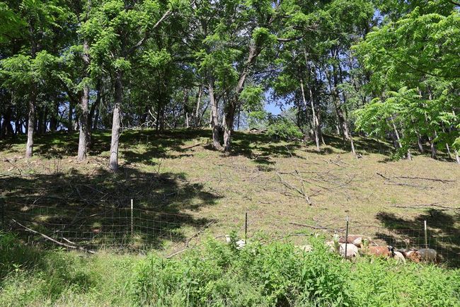 5043 Stones Chapel Rd, House other with 3 bedrooms, 3 bathrooms and 4 parking in Elk Creek VA | Image 40