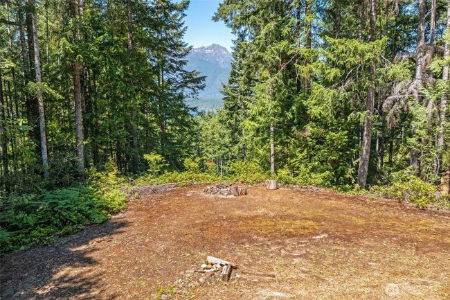 5154 N Lake Cushman Rd, Home with 0 bedrooms, 0 bathrooms and null parking in Hoodsport WA | Image 5