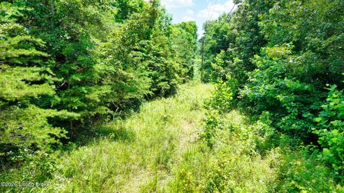 1 Ditney Hill Rd, Drakesboro, KY, 42337-2049 | Card Image