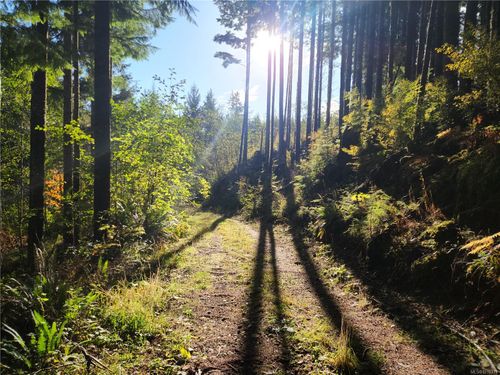 50 Murrelet Close, Jordan River, BC, V9Z1K2 | Card Image