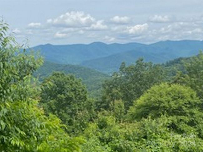 11 - 99999 Curtis Creek Rd, Home with 0 bedrooms, 0 bathrooms and null parking in Candler NC | Image 7