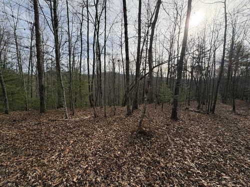 56.6 Ac Cutcane Rd, mineral bluff, GA, 30559 | Card Image