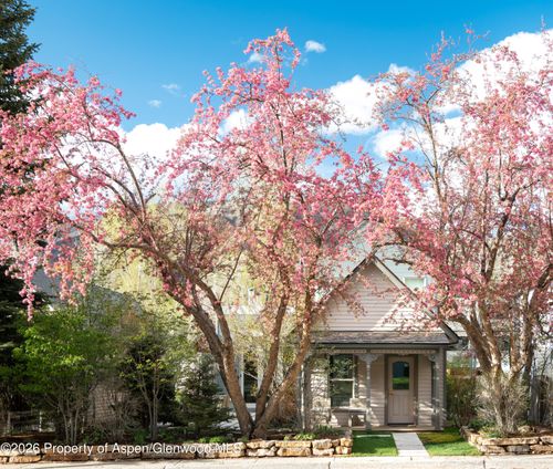 1006 E Cooper Ave, Aspen, CO, 81611-2108 | Card Image