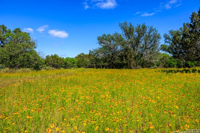 0000 Langes Mill Rd, Home with 0 bedrooms, 0 bathrooms and null parking in Doss TX | Image 26