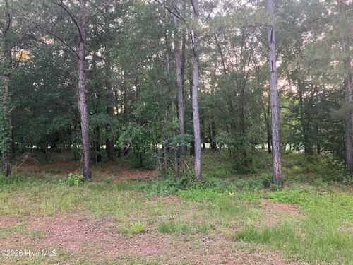 112 River Stone Run Dr, Wallace, NC, 28466 | Card Image