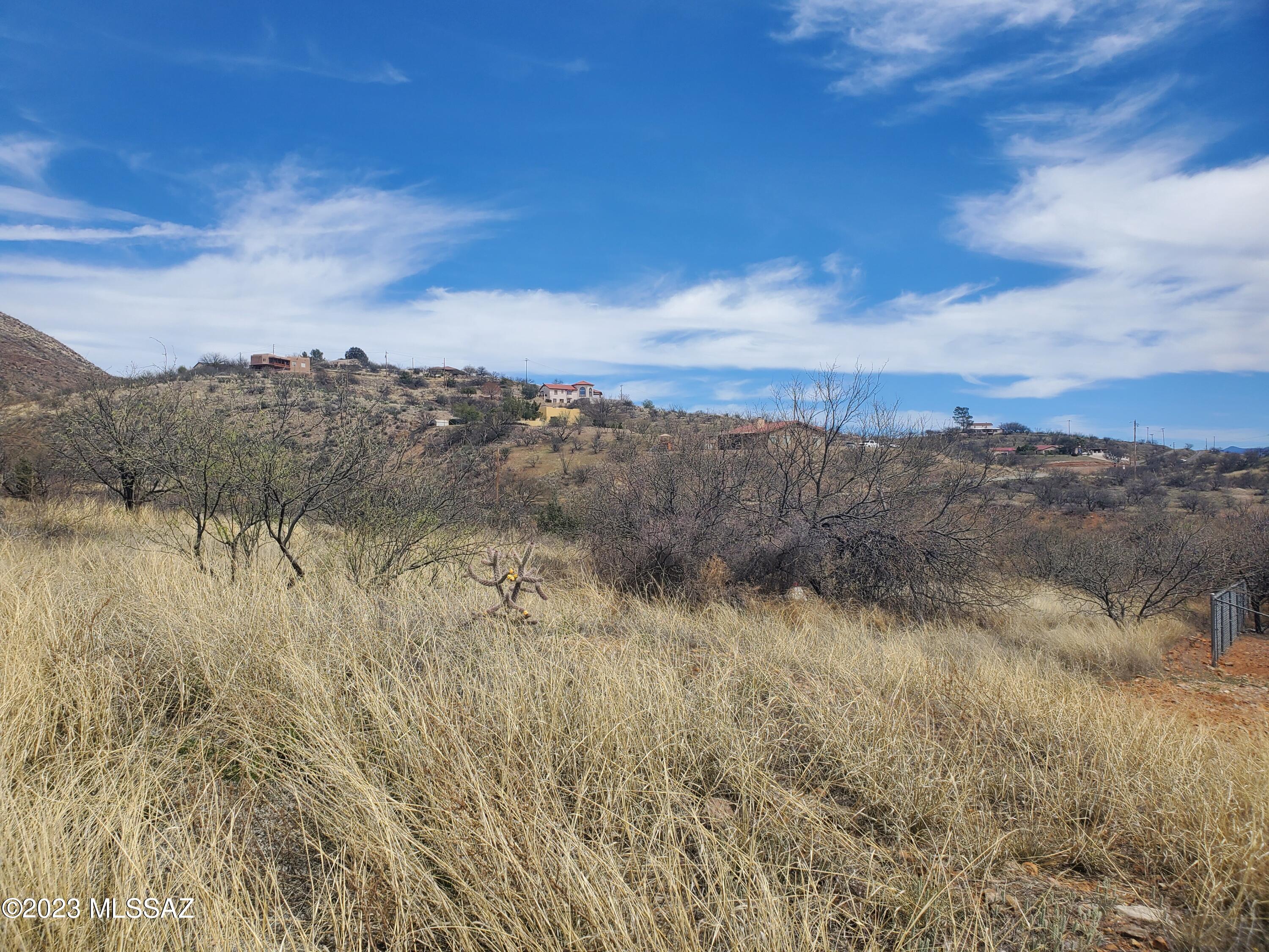 Land in Rio Rico 2
