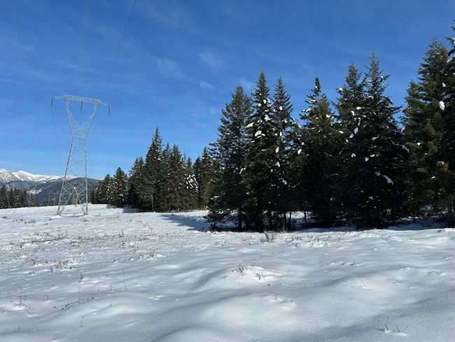 5 Red Fir Ln, Home with 0 bedrooms, 0 bathrooms and null parking in Noxon MT | Image 16