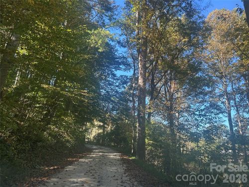 00 Split Pine Cv, Clyde, NC, 28721 | Card Image