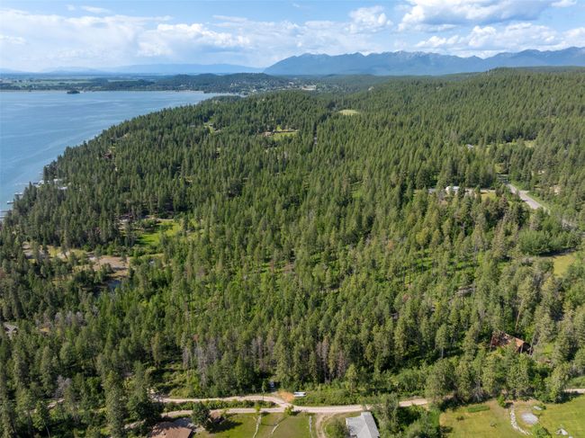 Aerial view of property's location featuring a forest and a water and mountain view | Image 15