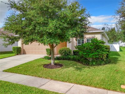 2769 Limerick Circle, House other with 4 bedrooms, 2 bathrooms and null parking in Grand Island FL | Image 3