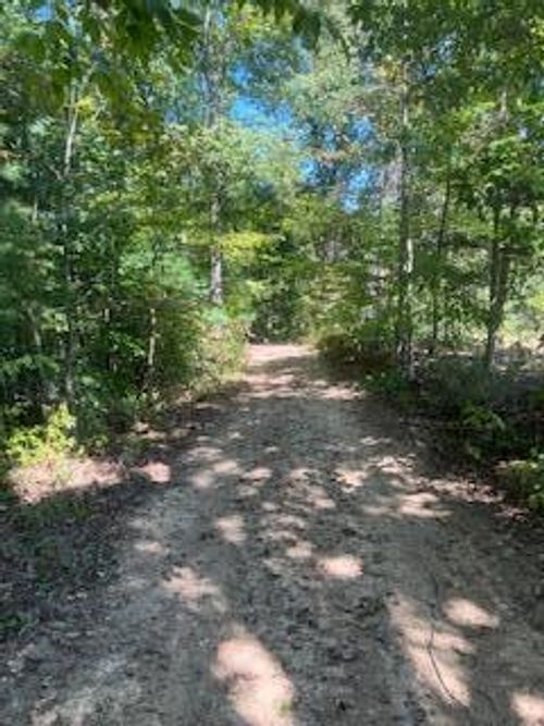 1285 Halsey Frk, Grassy Creek, KY, 41352-9072 | Card Image