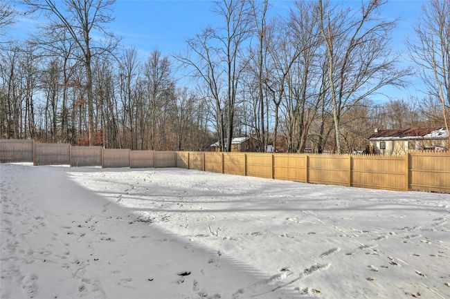 View of yard covered in snow | Image 35