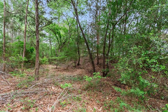 1411 Vogelsang Rd, Home with 3 bedrooms, 2 bathrooms and 3 parking in Columbus TX | Image 31