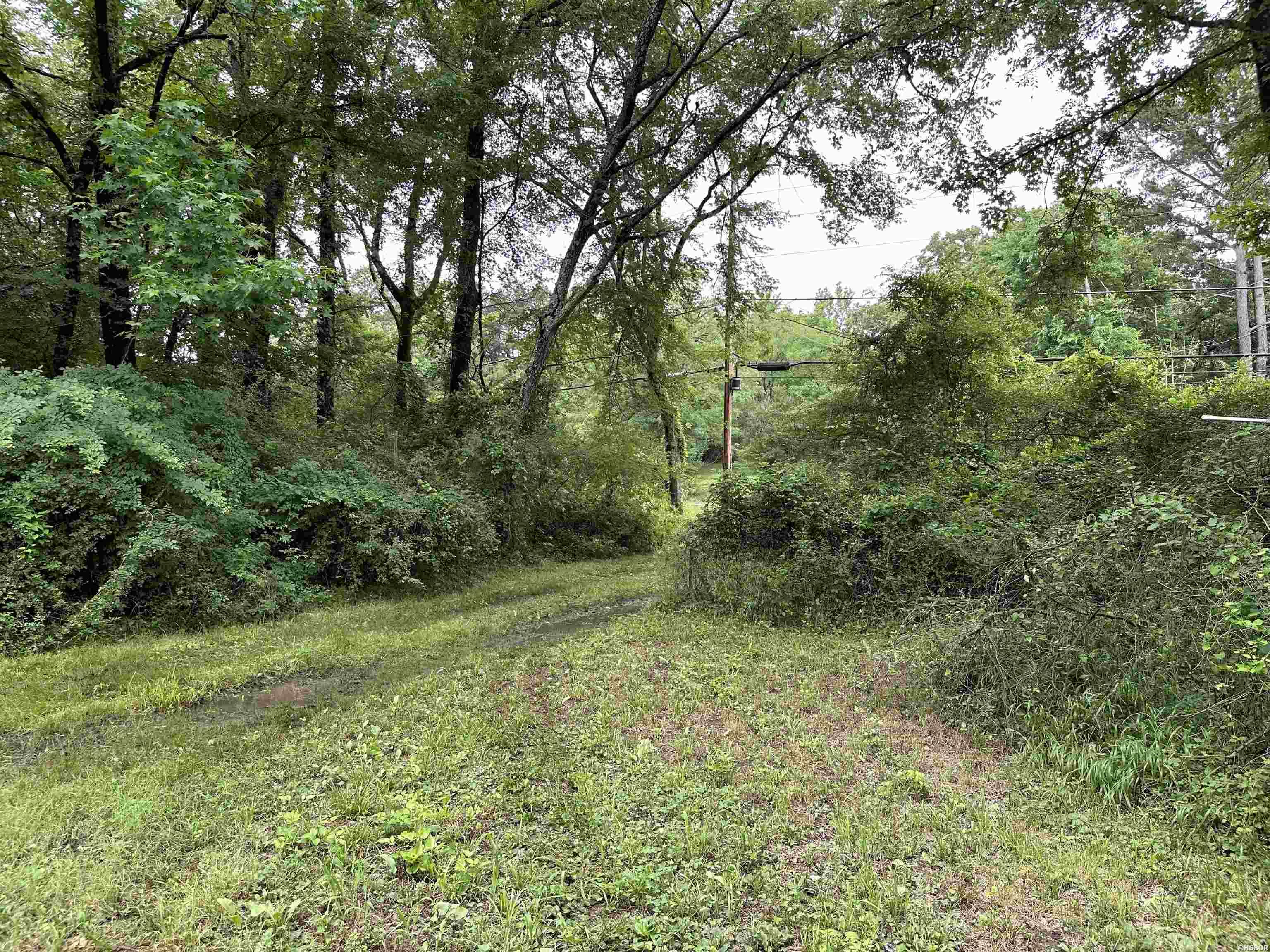 Malvern Ave, Hot Springs National Park, AR 71901 #1