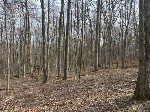17951 E Shady Lane Road, Butler, OH, 44822 | Card Image
