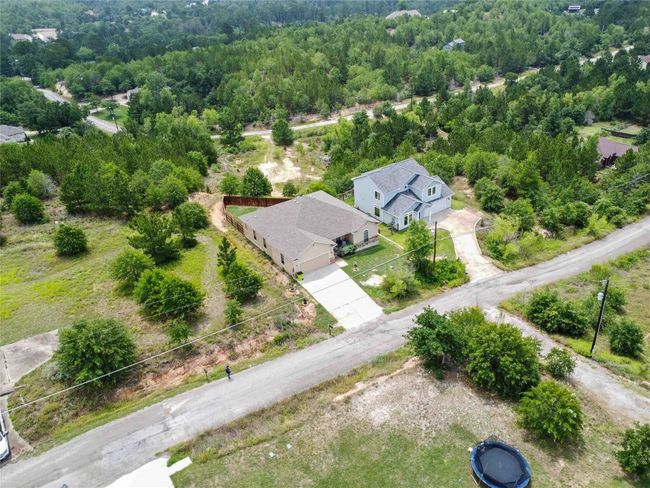 Drone / aerial view of a forest | Image 32