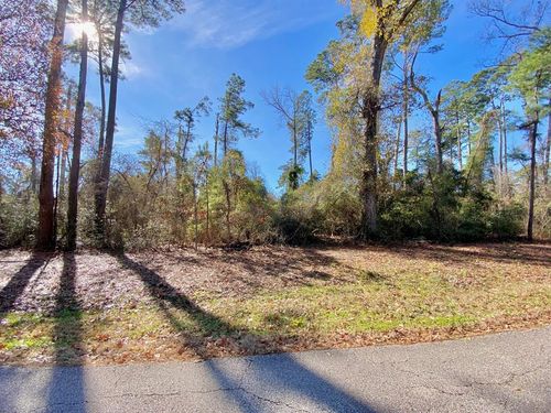 TBD Brahman, Onalaska, TX, 77360 | Card Image