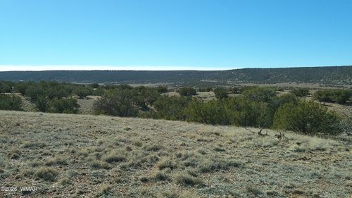 4523 Stirrup Rd, Snowflake, AZ, 85937 | Card Image