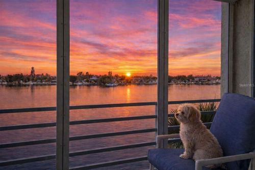 306-7984 Sailboat Key Blvd S, SOUTH PASADENA, FL, 33707-6353 | Card Image