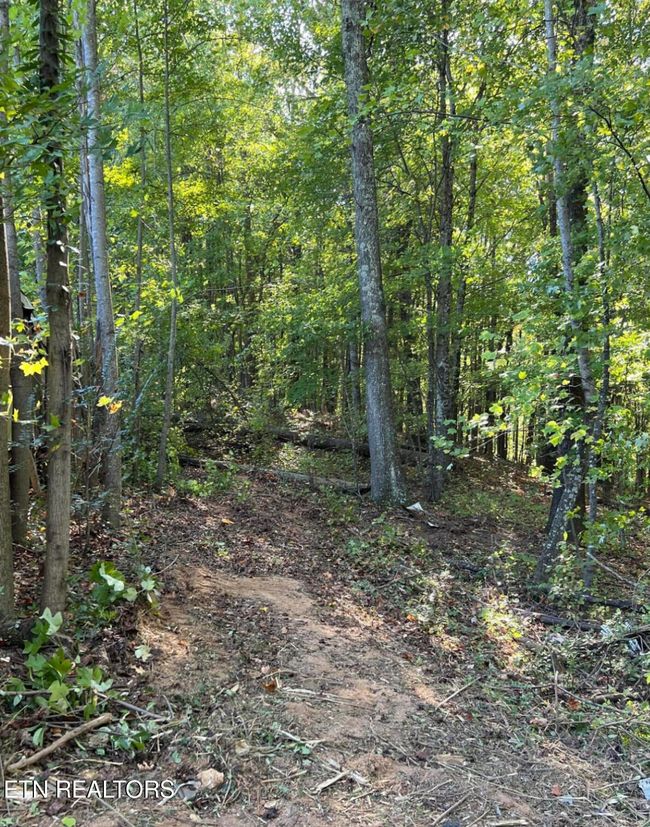 822 W Bates St, Home with 0 bedrooms, 0 bathrooms and null parking in Rockwood TN | Image 9