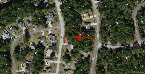 8399 N Santos Drive, Citrus Springs, FL, 34434 | Card Image