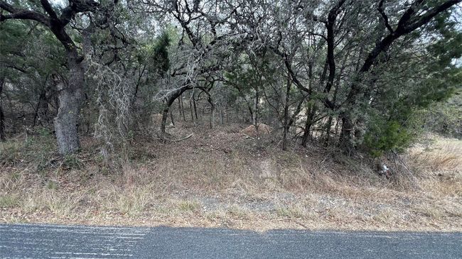 View of local wilderness | Image 13