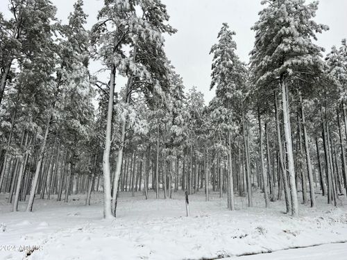 7-9586 Sierra Springs Way, Pinetop, AZ, 85935-8980 | Card Image