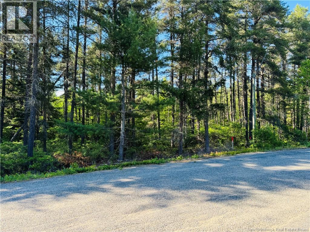Land in Miramichi 4