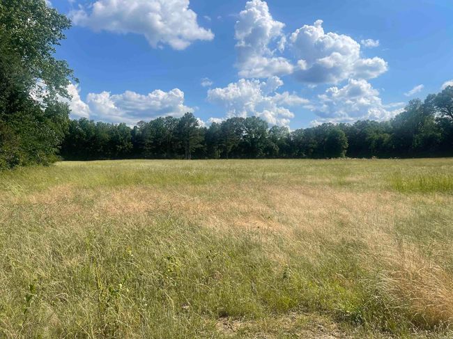 15350 Bailey Branch Rd, House other with 1 bedrooms, 1 bathrooms and null parking in Danville AR | Image 28