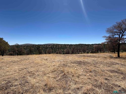 136 Bobby Jones, Alto, NM, 88312 | Card Image
