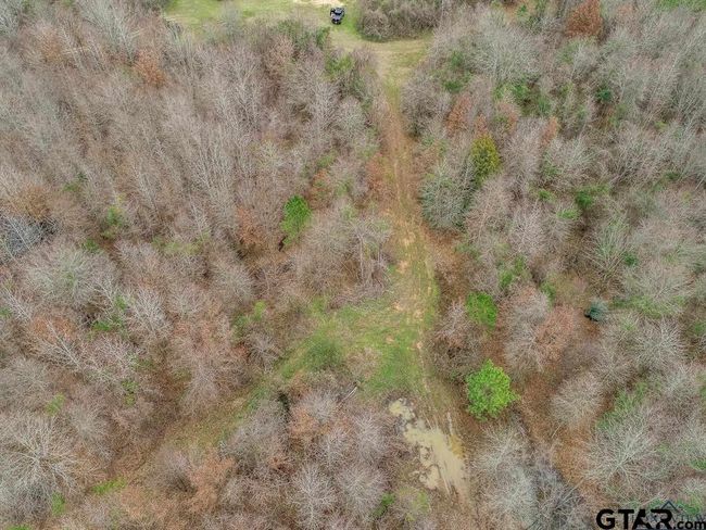 350 AC Cr 1322, Home with 0 bedrooms, 0 bathrooms and null parking in Reklaw TX | Image 14