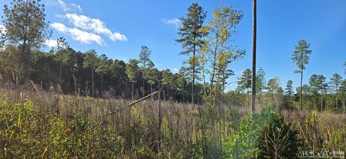 Lot A Millville Rd, Lawrenceville, VA, 23868 | Card Image