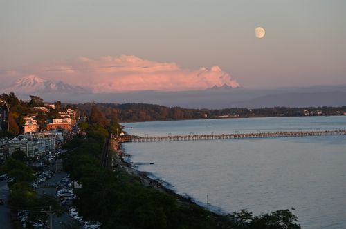 14501 Marine Dr, White Rock, BC, V4B1B4 | Card Image