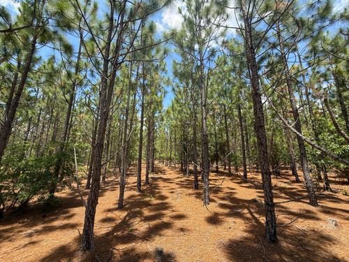 0 Beaver Dam Rd, Cassatt, SC, 29032 | Card Image