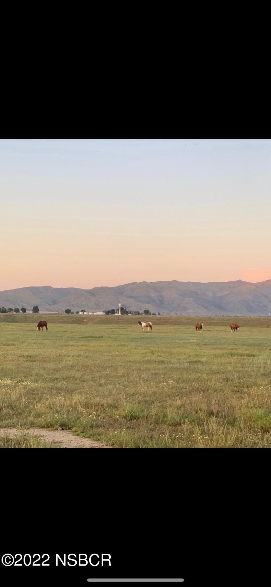 Land in New Cuyama 3