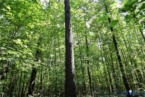 0 Bellevue Road, Halifax, VA, 24588 | Card Image