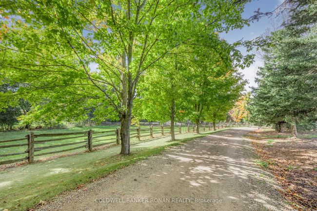 836138 4 Th Line, House other with 3 bedrooms, 2 bathrooms and 6 parking in Mulmur ON | Image 11