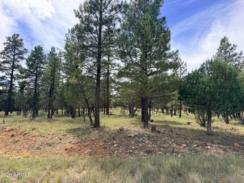 166-5206 Starlight Drive, Happy Jack, AZ, 86024 | Card Image