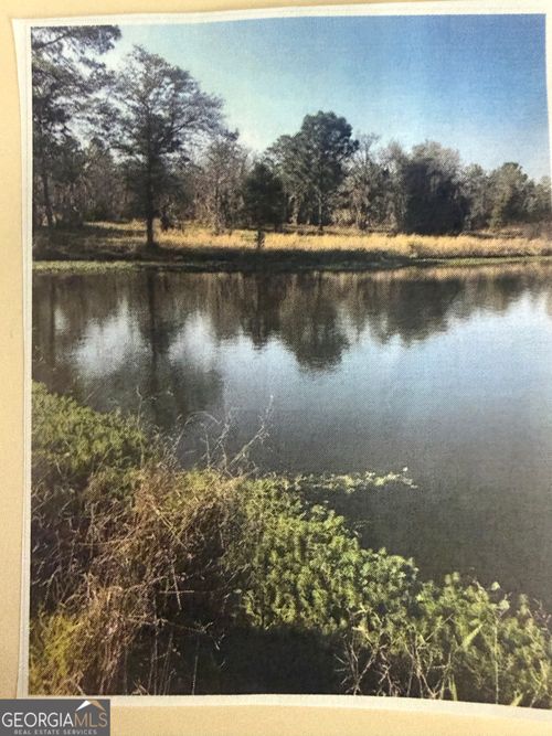 0 Henry-Mimbs, Hazlehurst, GA, 31539 | Card Image